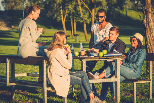 Multi-ethnic Group Of Friends Drinking Coffee And Chatting In A Park