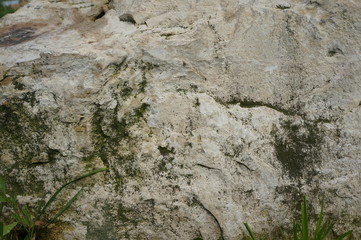 Natural texture created from natural elements in a natural environment for design, background, games and advertising