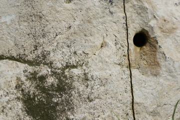 Natural texture created from natural elements in a natural environment for design, background, games and advertising