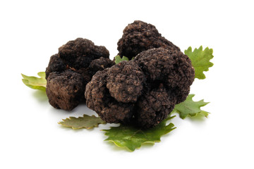 Black truffles and oak leaves.