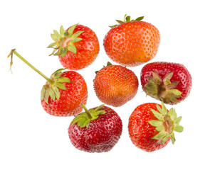 Strawberries, fresh, with beds, red delicious