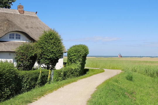 ein traditionelles Reetdachhaus neben dem Deich am Bodden (Ostsee)