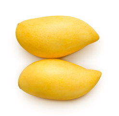 fresh mango isolate put on white backgrond with clipping path