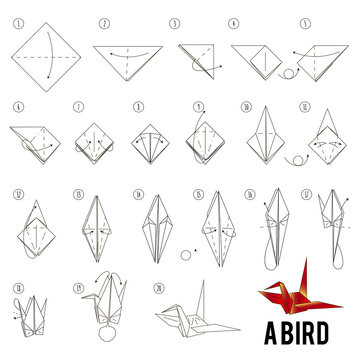 Origami Crane Instructions Images – Browse 845 Stock Photos, Vectors, and  Video | Adobe Stock