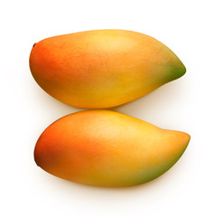 fresh mango isolate put on white backgrond with clipping path