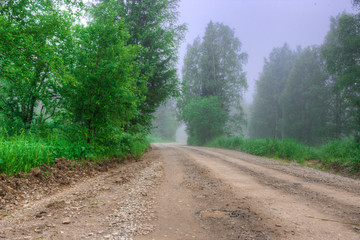 Summer cloudy morning, Road forest, fog trees Photo