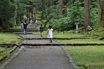 苔で有名な福井県勝山市の平泉寺白山神社