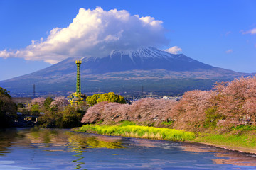 Fuji mountain 