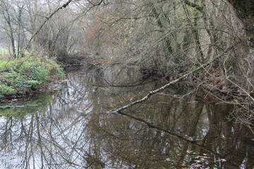 La Sèvre