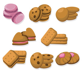 Delicious dessert chocolate cookies set collection vector illustration