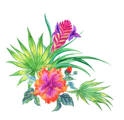 A bouquet of tropical flowers, a watercolor illustration on a white background.