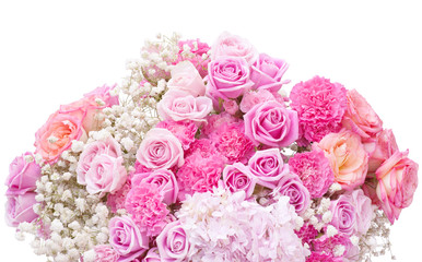 pink rose bouquet on white background