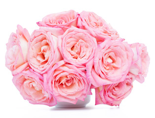 pink rose bouquet on white background