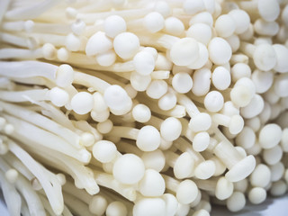 White enoki mushroom , diet concept