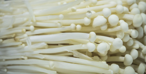 White enoki mushroom , diet concept