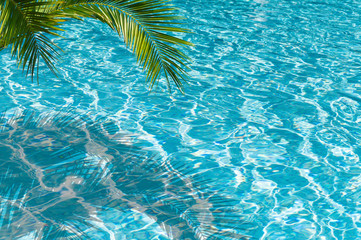 Fototapeta na wymiar palme am swimming pool, sommer hintergrund