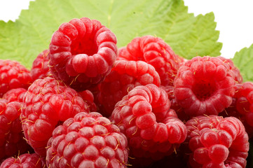  raspberry