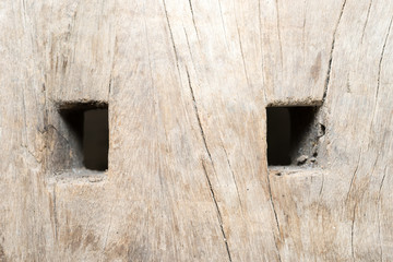 Square Holes in Stump wood texture background