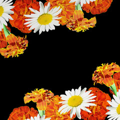Obraz premium Beautiful floral background with daisies and marigolds 