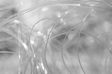 Close up of fishing line as abstract background. Black and white image. Selective focus