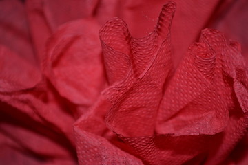 Gros plan de serviette