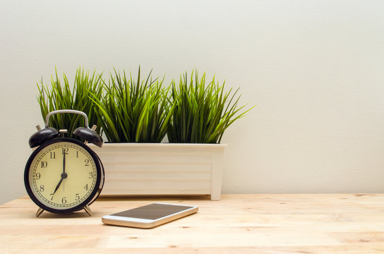 green tree in white pot small decorative, black vintage retro alarm clock and mobile smartphone on wooden desk table and white wall background, selective focus, copy space, vintage tone