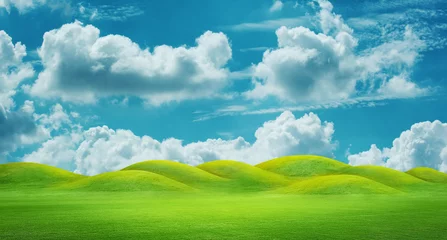 Zelfklevend Fotobehang panorama of green hills with sunrise sky ,3D rendering © OHishi_Foto