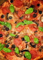 Pepperoni and Mushrooms Pizza