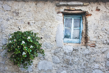 Fototapeta na wymiar Flower pot and old window in mall village of Lubenice, Cres Island, Croatia.