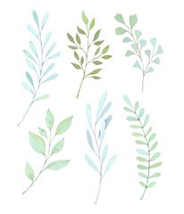 Hand drawn watercolor illustrations. Botanical clipart. Set of Green leaves, herbs and branches. Floral Design elements. Perfect for wedding invitations, greeting cards, blogs, posters, prints etc