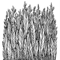 pattern of black leaves, grass, feathers