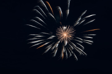 Fireworks light up the sky with dazzling display