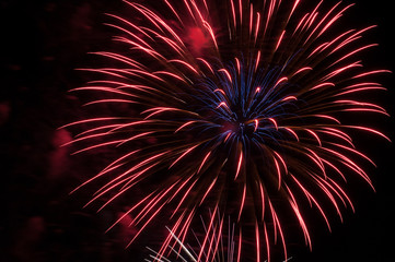 Fireworks light up the sky with dazzling display