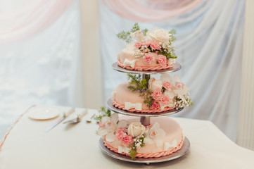 Beautiful white and colored wedding cake. A bride and a groom is cutting their wedding cake