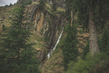 Jogini waterfall surrounded by cedar forest in the Himalayas