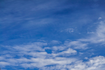 Fototapeta premium Blue sky and thin clouds background