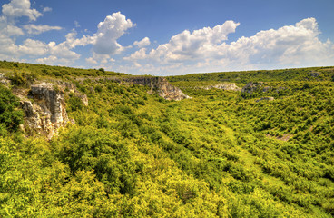 Obraz premium Beautiful summer landscape