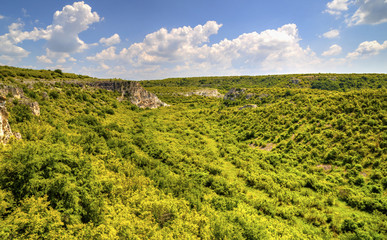 Obraz premium Beautiful summer landscape