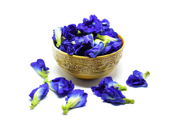 Butterfly pea in the Cup on white background.