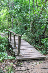 Obraz premium Wood walkway in the forest