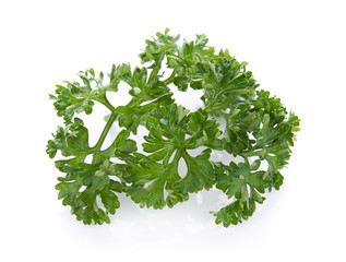 parsley isolated on a white background