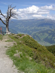 Toter Baum auf einem Berg mit Blick ins Tal