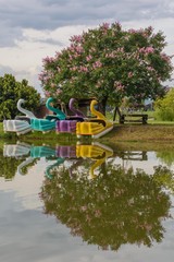 pedal boats in the lake