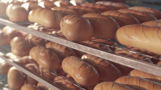 Close up view of a number of ready-made crispy bread loaves on the cooling rack in the bakery, in bright sunshine. Healthy food, delicious food. Bread industry, modern manufacturing.