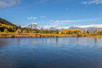 Fototapeta na wymiar Snake River and Tetons in Fall