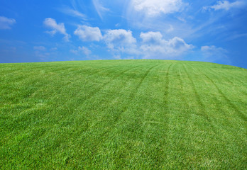 Natural grassy background. Green lawn and beautiful blue sky