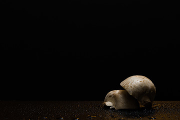 Half of mushroom laying on another half of mushroom on a black background with water drops