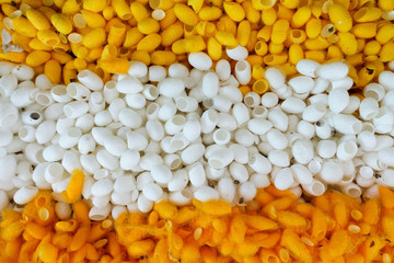 Yellow and white silkworm nets background