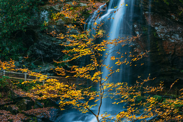Fall leaves in front of Dry Falls in the Blue Ridge Mountains near Asheville North Carolina