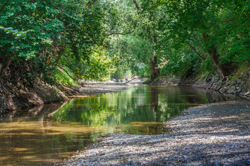 Natural river landscape with low water coverred by trees on a hot summer day.